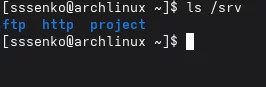 srv-project-.webp