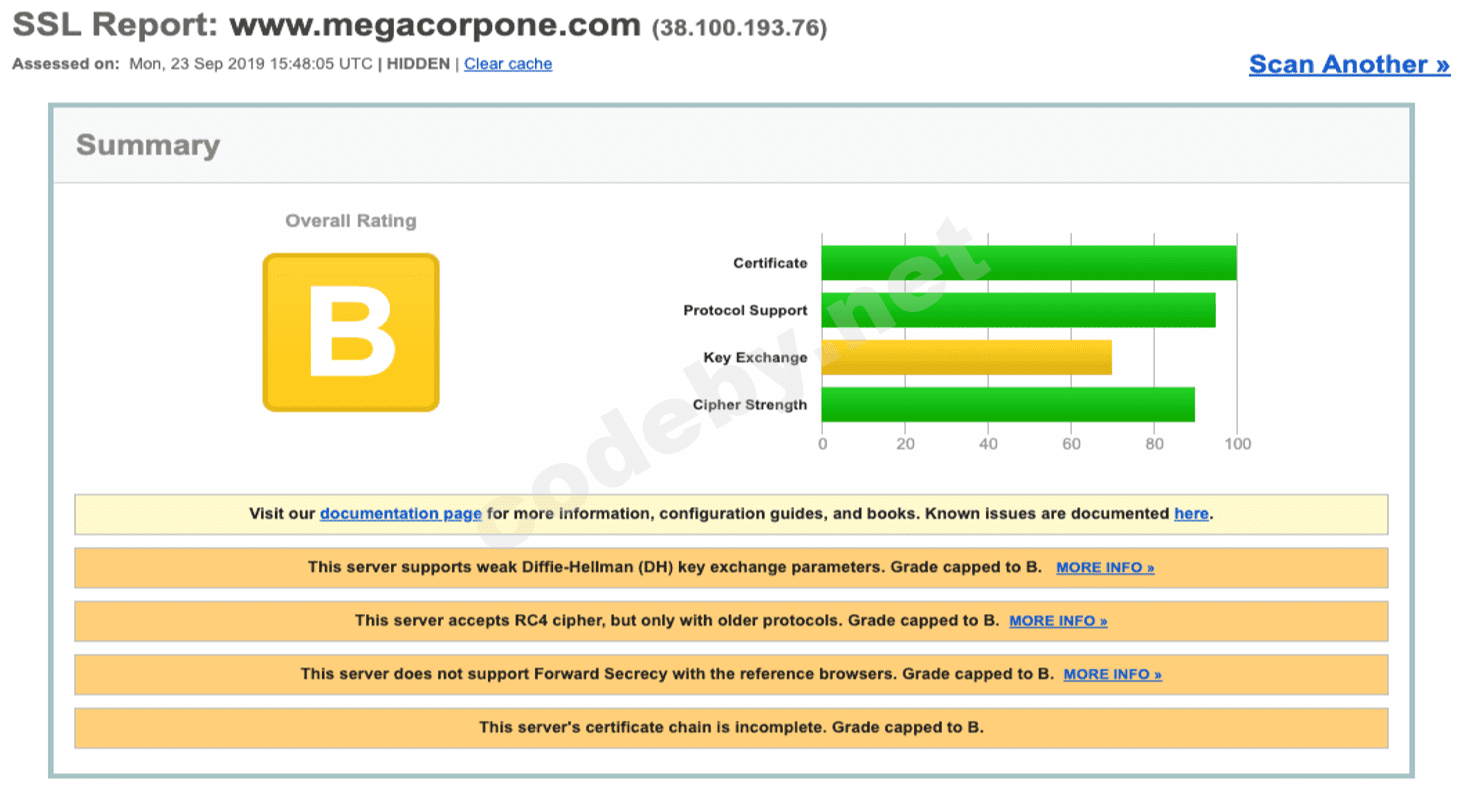 ssl_server_test.png