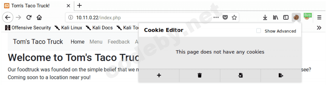 stealing_cookies_and_session_information_3.png