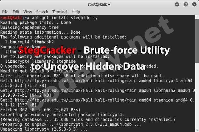 StegCracker - утилита Brute-force для обнаружения скрытых файлов данных.jpg