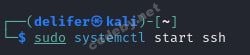 systemctl_start_ssh.jpg