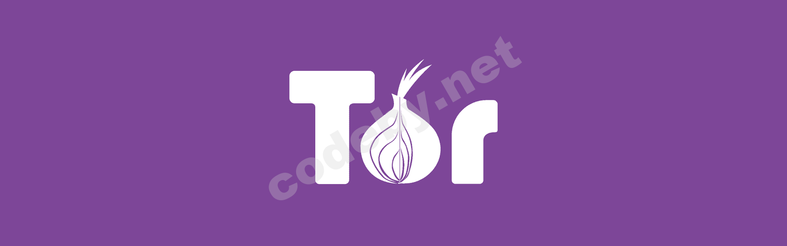 teaser-tor-1.png