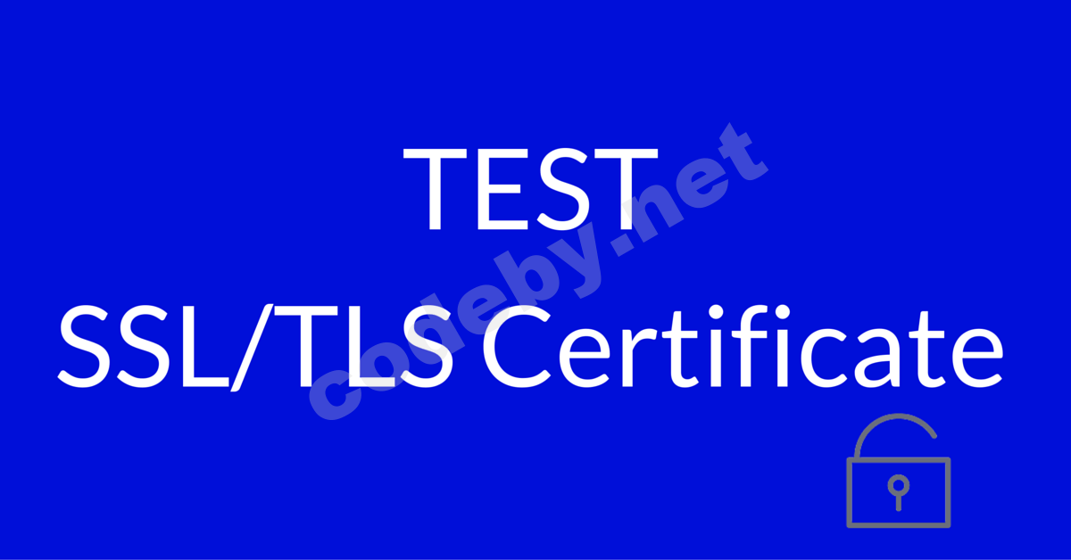 test-ssl-certificate.png