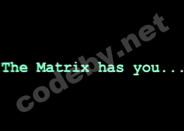 The_matrix_has_you.jpg