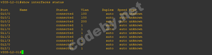 vlan.png