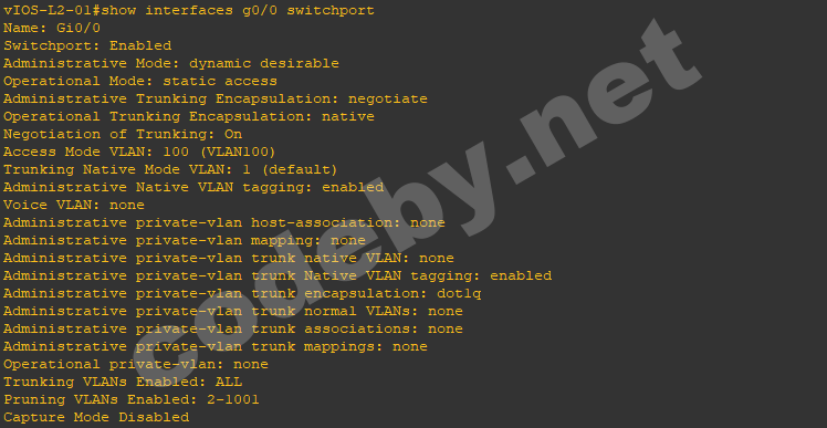 vlan2.png
