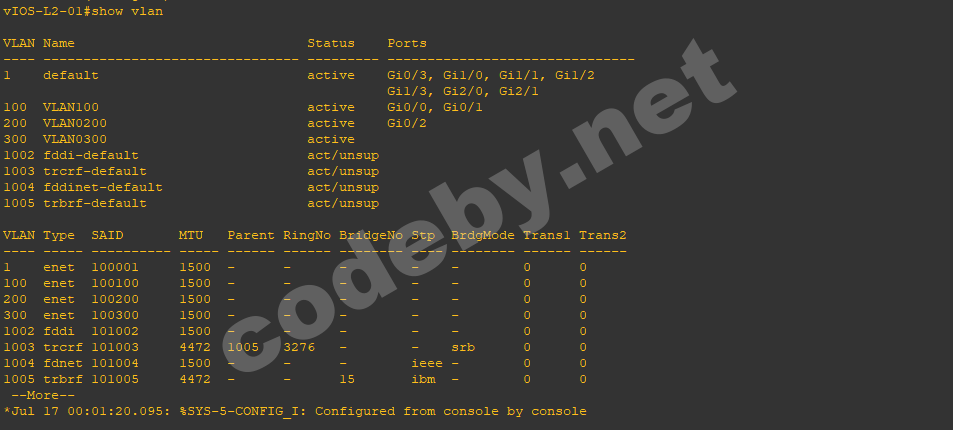 vlan3.png