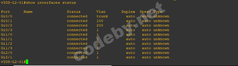 vlan6.png