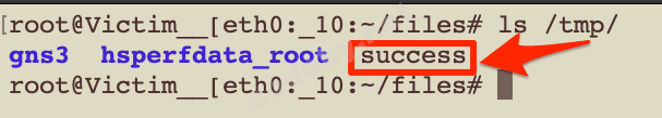 Vlan_payloadsuccess.png