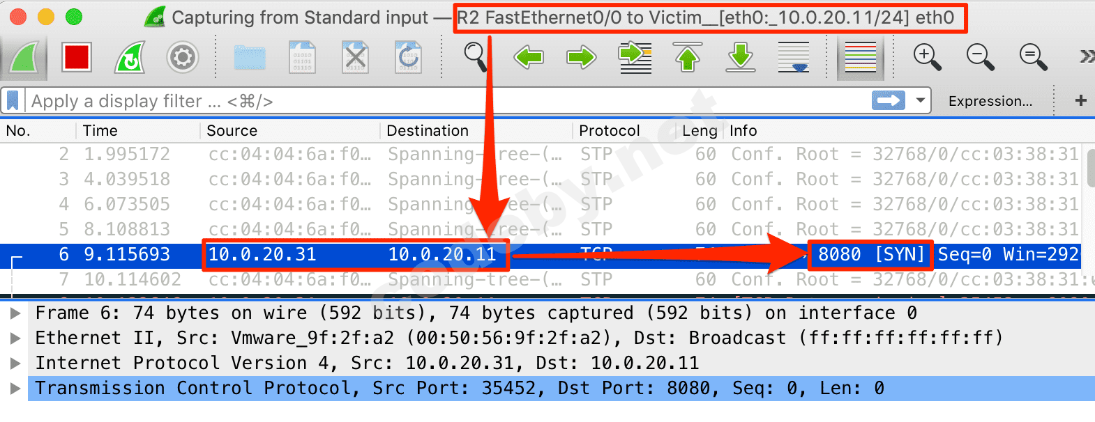 Vlan_synpacket.png