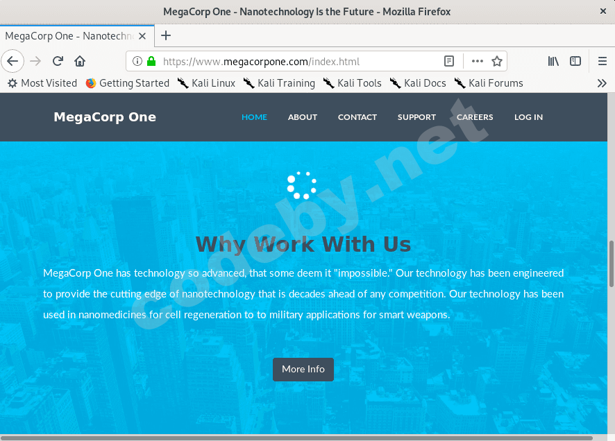 website_recon_1.png