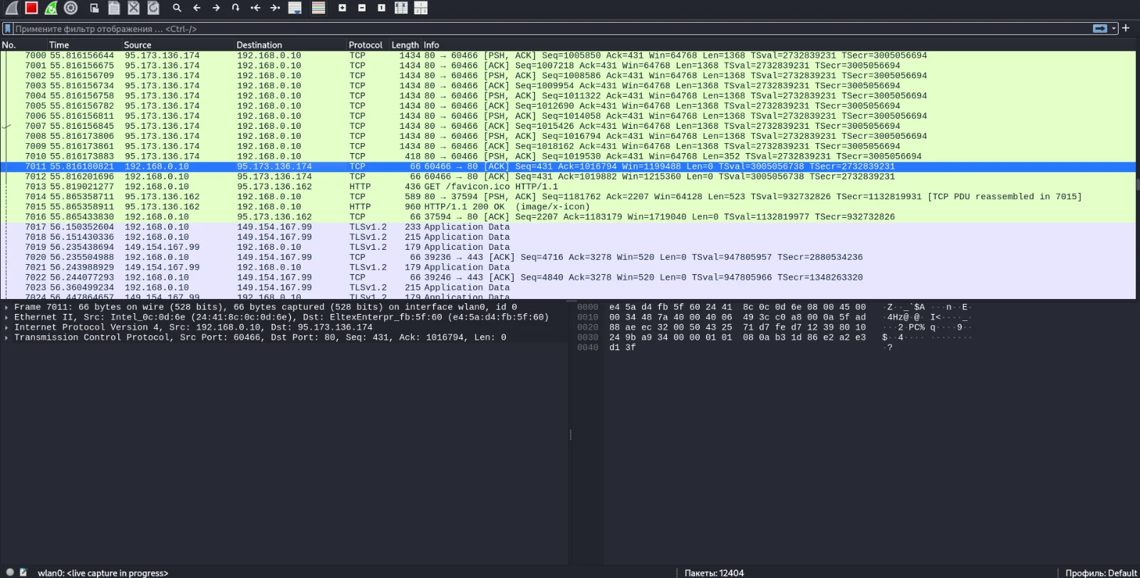 WS1.webp