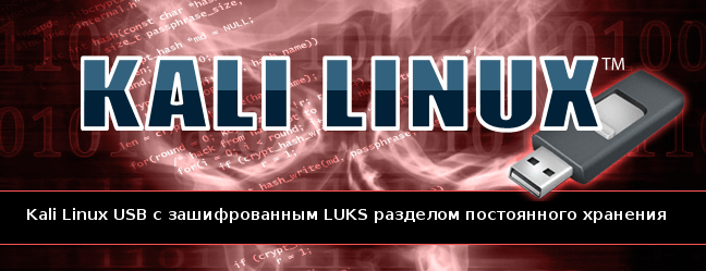 Загрузочная флешка kali linux. Kali флешка. Kali linux live usb. Обычная флешка. Kali флешка.