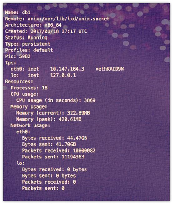 Как сопоставить статический IP-адрес с помощью dnsmasq в LXD (контейнеры Linux)