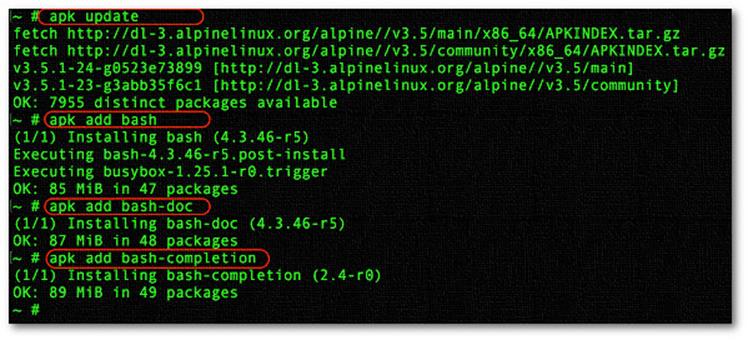 Как установить оболочку bash в моей виртуальной машине Alpine Linux LXD (Linux Container)