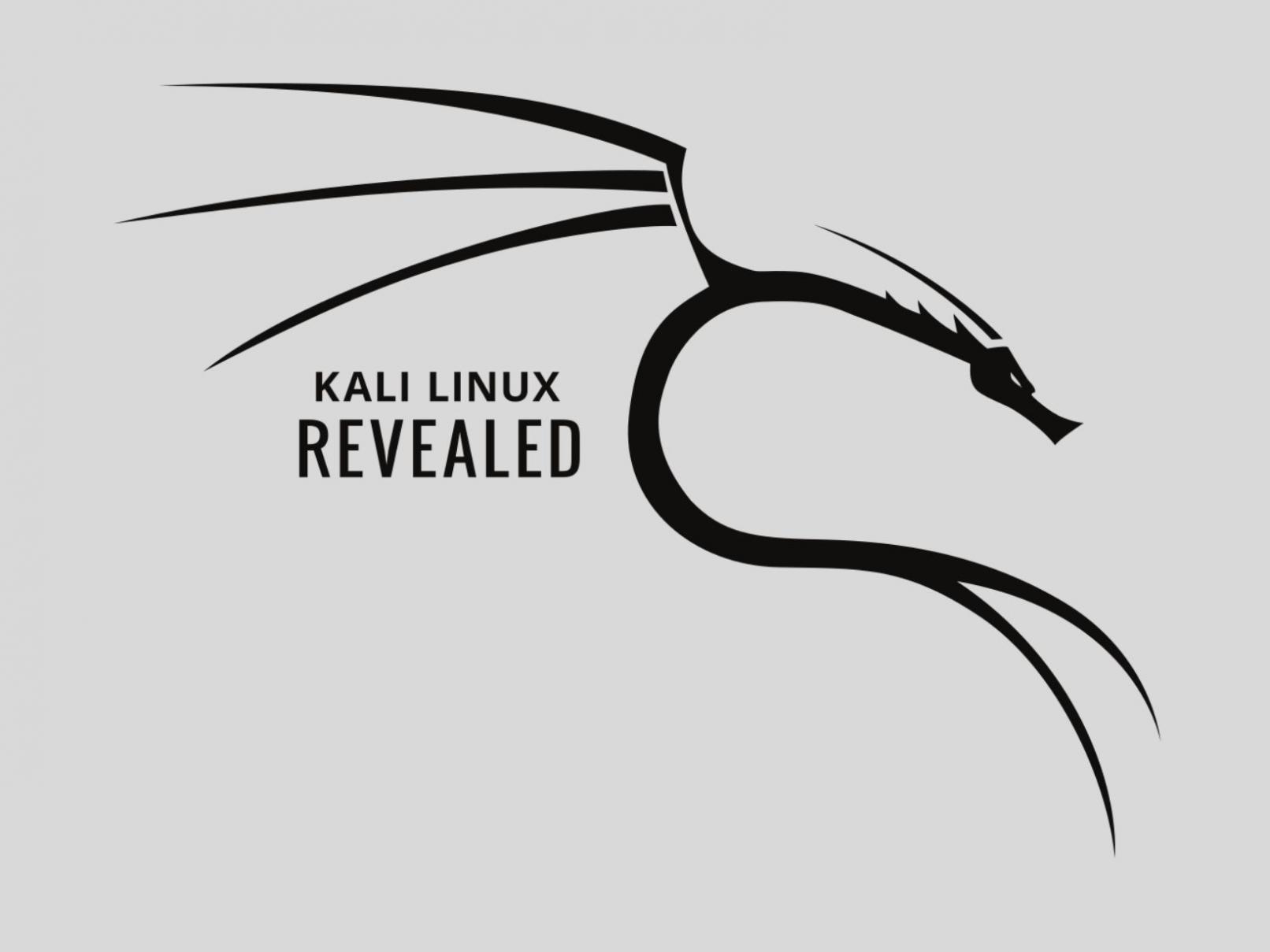 Взлом телефона kali linux