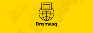 Как сопоставить статический IP-адрес с помощью dnsmasq в LXD (контейнеры Linux)
