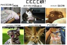 x_a28fb5fc.jpg