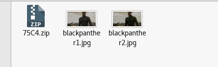 wakanda_binwalk.png