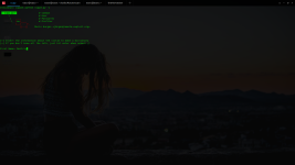 DeepinScreenshot_20180629104342.png DeepinScreenshot_20180629104342.png