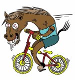 horsebike.jpg