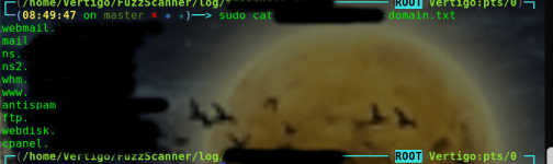 fuzzscan4.png