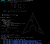 wpscan.png