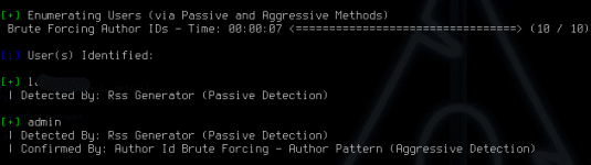 wpscan1.png