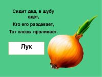 Загадка.jpg