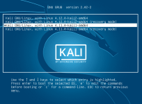 kali-linux-kernel-4.11.png