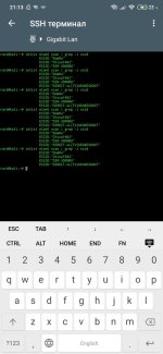 Screenshot_2020-01-19-21-13-02-683_it.Ettore.raspcontroller.jpg