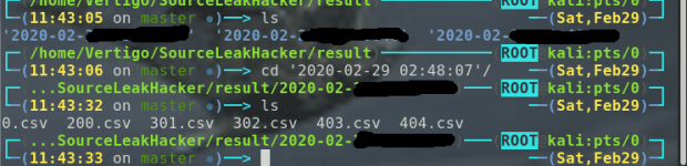 leakhack4.png