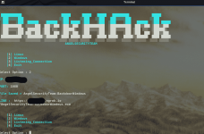 backhack1.png