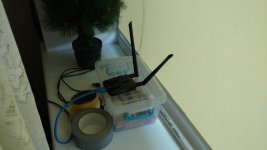 IMG_20200704_113446817.jpg