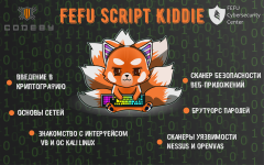 курс FEFU Script Kiddie 1.png