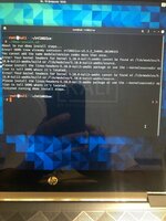 IMG_2913.jpeg