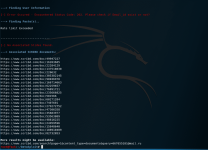 datasploit 2.PNG