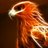 phoenix1327