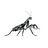 mantis