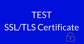test-ssl-certificate.png