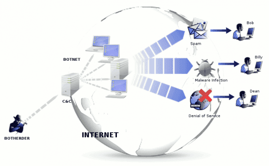 550px-Botnet.png