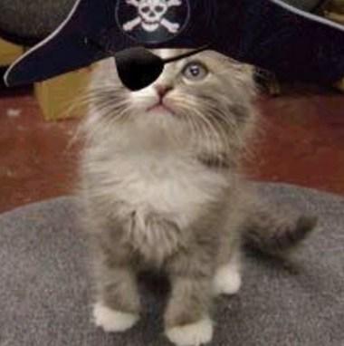 top-10-plundering-cats-dressed-as-pirates-L-pZhg31.jpeg