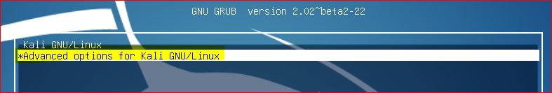 Advanced-options-for-Kali-GNU-Linux.jpg