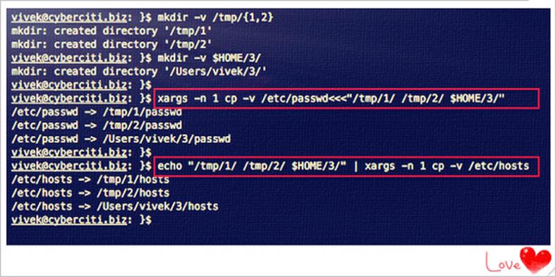 Копирование нескольких файлов в разные каталоги с помощью Linux / Unix cp команды