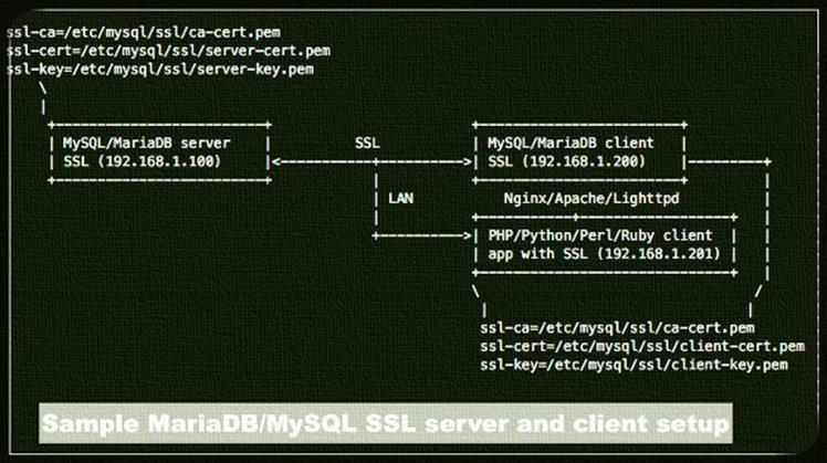 Как настроить MariaDB SSL и установить безопасные соединения с различных клиентов