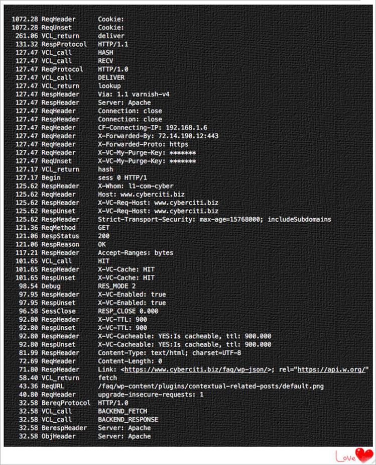 Как я могу просмотреть журнал Varnish и другую информацию?